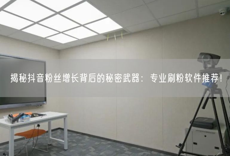 揭秘抖音粉丝增长背后的秘密武器：专业刷粉软件推荐！